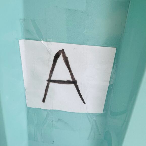 American Eagle Green Floral Print Short Sleeve Button Up Shirt Men’s Size L - Picture 7 of 7